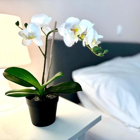 Sun Beach Apartment 阿纳维索斯 外观 照片