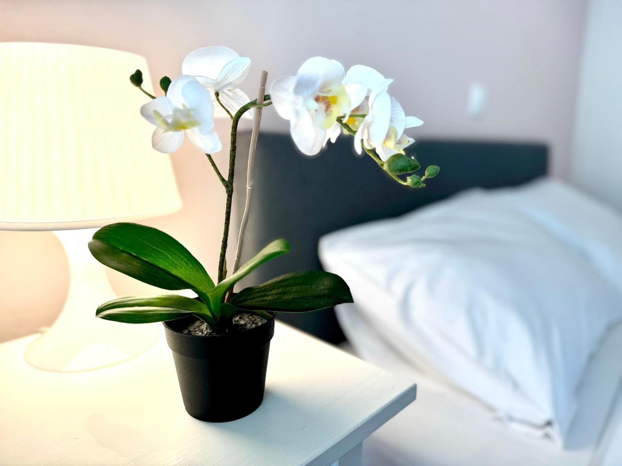 Sun Beach Apartment 阿纳维索斯 外观 照片